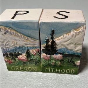 Vintage Oregon Mt. Hood Salt and Pepper Shakers Rare